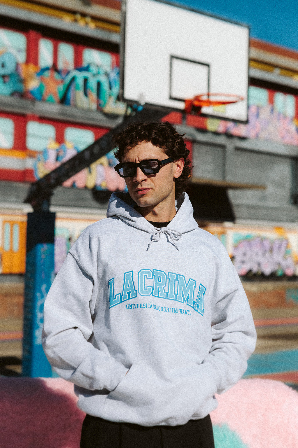 Felpa Hoodie College Grigia Blu