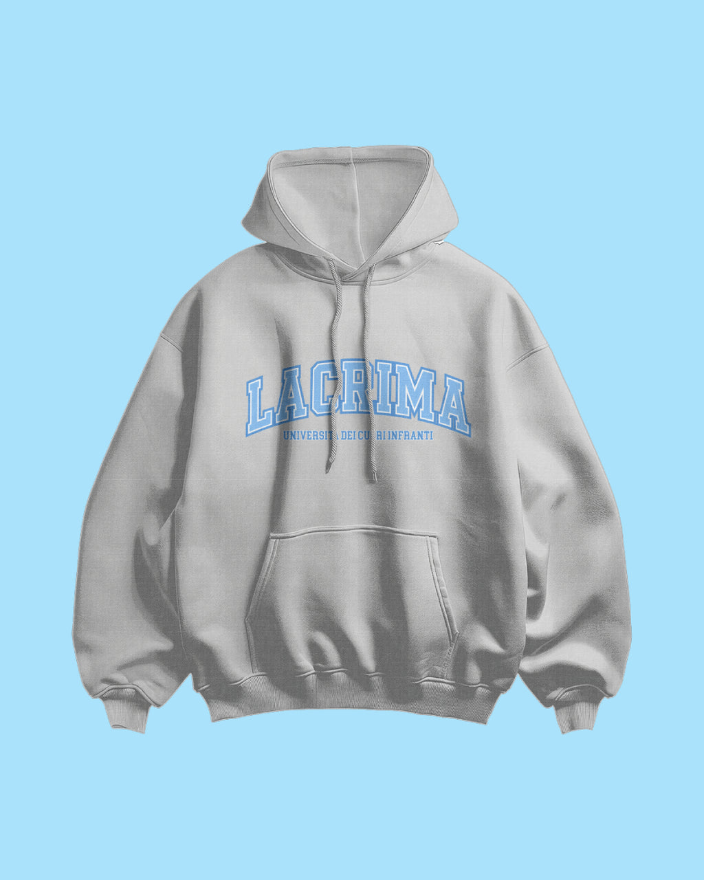 Felpa Hoodie College Grigia Blu